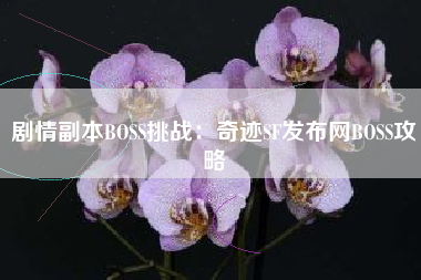 剧情副本BOSS挑战：奇迹SF发布网BOSS攻略