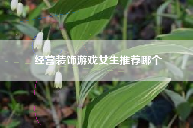 经营装饰游戏女生推荐哪个