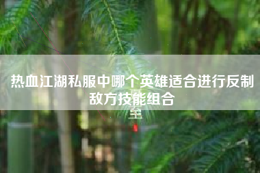 热血江湖私服中哪个英雄适合进行反制敌方技能组合