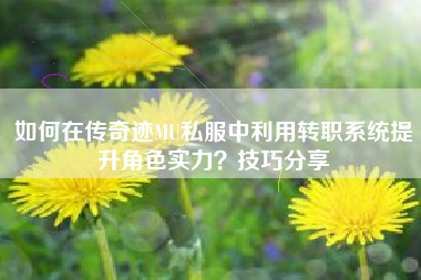 如何在传奇迹MU私服中利用转职系统提升角色实力？技巧分享