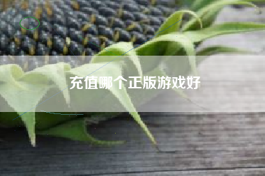 充值哪个正版游戏好