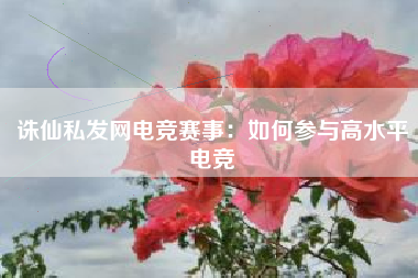 诛仙私发网电竞赛事：如何参与高水平电竞