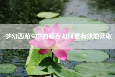 梦幻西游SF中的源石如何更有效地获取