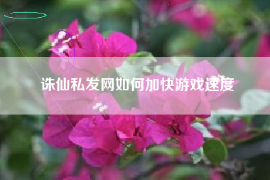 诛仙私发网如何加快游戏速度