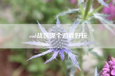 cod战区哪个游戏好玩