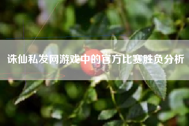 诛仙私发网游戏中的官方比赛胜负分析