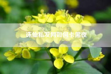 诛仙私发网如何卡黑夜