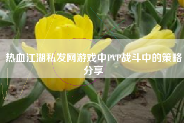 热血江湖私发网游戏中PVP战斗中的策略分享