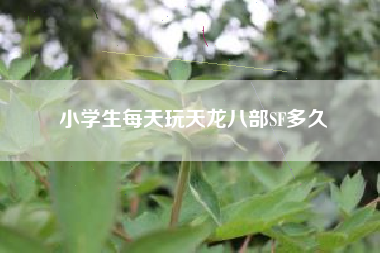 小学生每天玩天龙八部SF多久