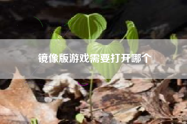 镜像版游戏需要打开哪个