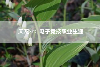 天龙SF：电子竞技职业生涯