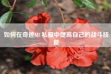 如何在奇迹MU私服中提高自己的战斗技能