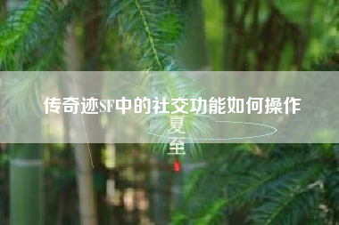 传奇迹SF中的社交功能如何操作