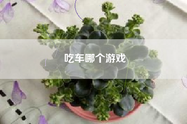 吃车哪个游戏