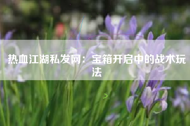 热血江湖私发网：宝箱开启中的战术玩法