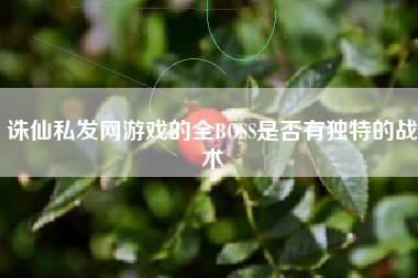 诛仙私发网游戏的全BOSS是否有独特的战术