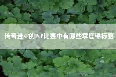 传奇迹SF的PvP比赛中有哪些季度锦标赛