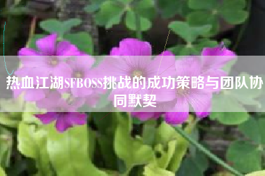 热血江湖SFBOSS挑战的成功策略与团队协同默契