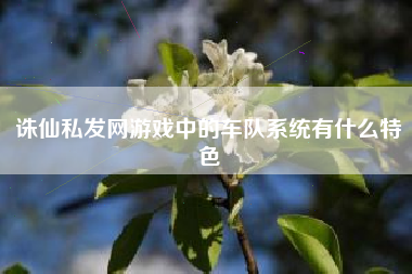 诛仙私发网游戏中的车队系统有什么特色