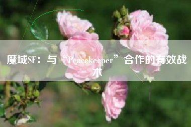 魔域SF：与“Peacekeeper”合作的有效战术