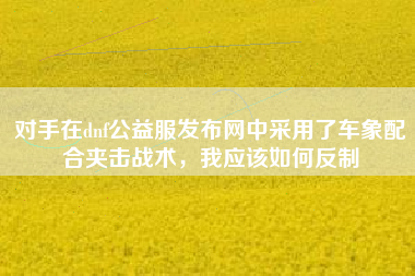 对手在dnf公益服发布网中采用了车象配合夹击战术，我应该如何反制