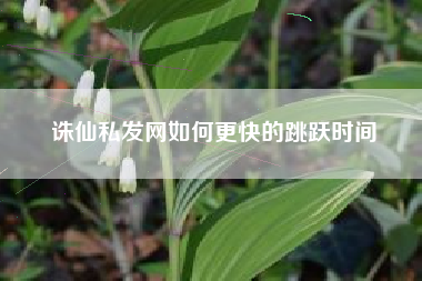 诛仙私发网如何更快的跳跃时间