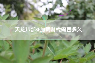 天龙八部SF加载游戏需要多久