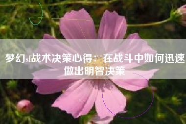 梦幻sf战术决策心得：在战斗中如何迅速做出明智决策