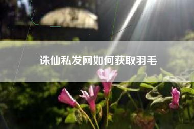 诛仙私发网如何获取羽毛