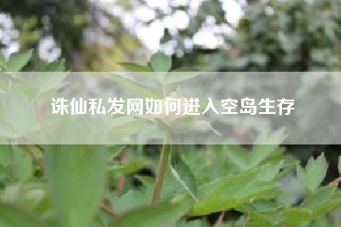 诛仙私发网如何进入空岛生存