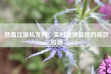 热血江湖私发网：实时战场监控的高效应用