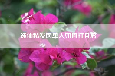 诛仙私发网单人如何打月总