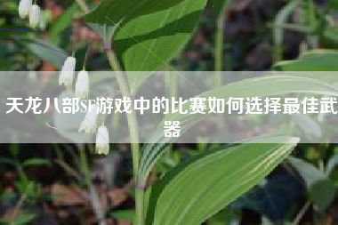 天龙八部SF游戏中的比赛如何选择最佳武器