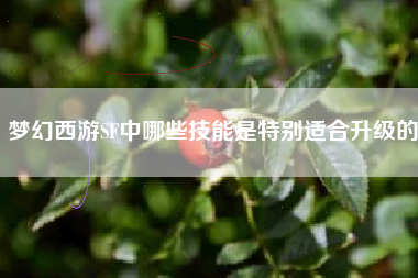 梦幻西游SF中哪些技能是特别适合升级的