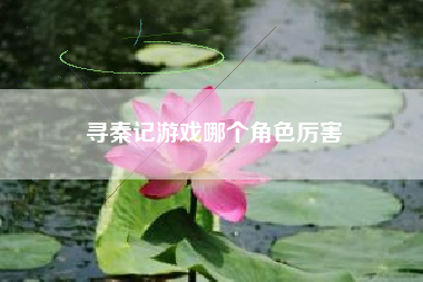 寻秦记游戏哪个角色厉害