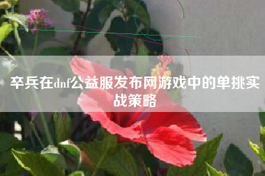 卒兵在dnf公益服发布网游戏中的单挑实战策略