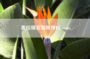 泰拉瑞亚如何存档steam