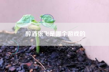 醉酒张飞是哪个游戏的