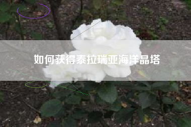 如何获得泰拉瑞亚海洋晶塔