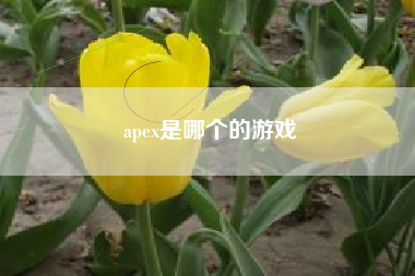 apex是哪个的游戏