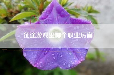 征途游戏里哪个职业厉害