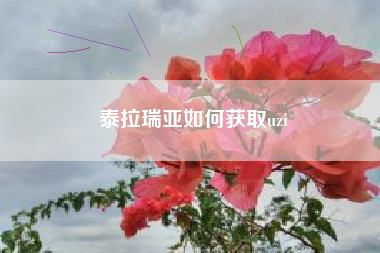 泰拉瑞亚如何获取uzi