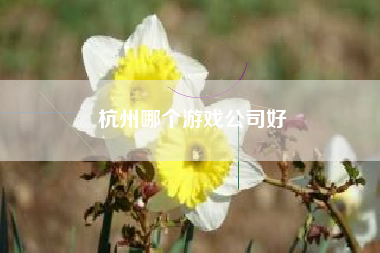 杭州哪个游戏公司好