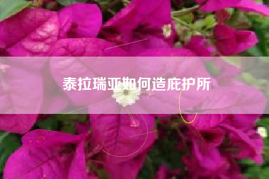 泰拉瑞亚如何造庇护所