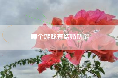 哪个游戏有结婚功能