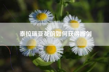 泰拉瑞亚花前如何获得断剑