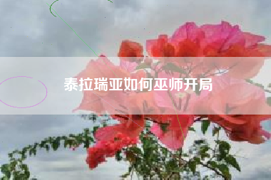 泰拉瑞亚如何巫师开局