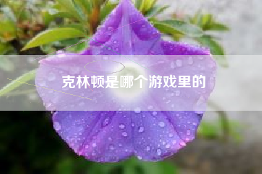 克林顿是哪个游戏里的