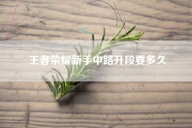 王者荣耀新手中路升段要多久