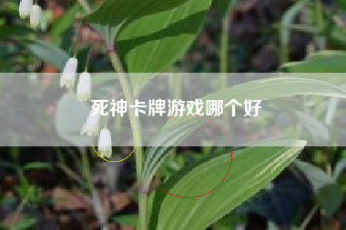 死神卡牌游戏哪个好